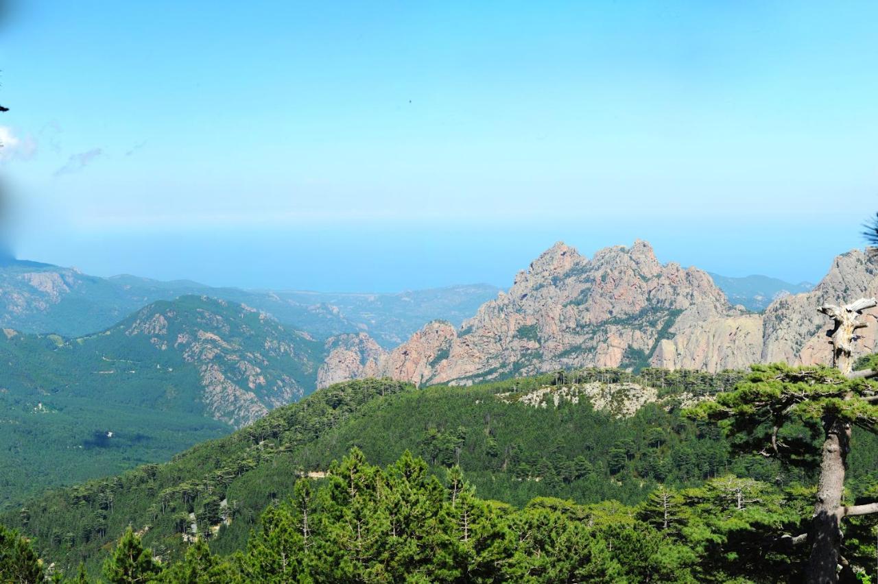 Residence Les Jardins De Sainte-Lucie "Piscine Chauffee" Εξωτερικό φωτογραφία