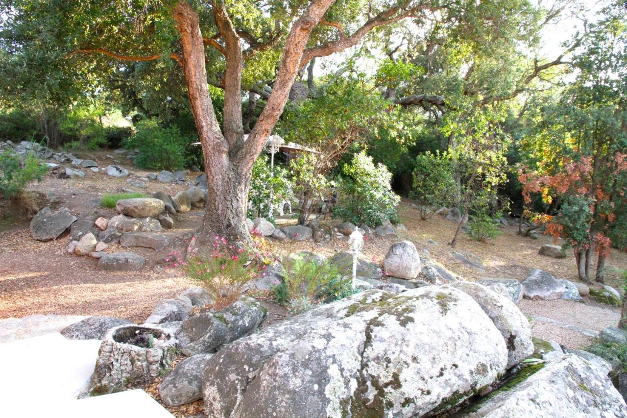 Residence Les Jardins De Sainte-Lucie "Piscine Chauffee" Εξωτερικό φωτογραφία